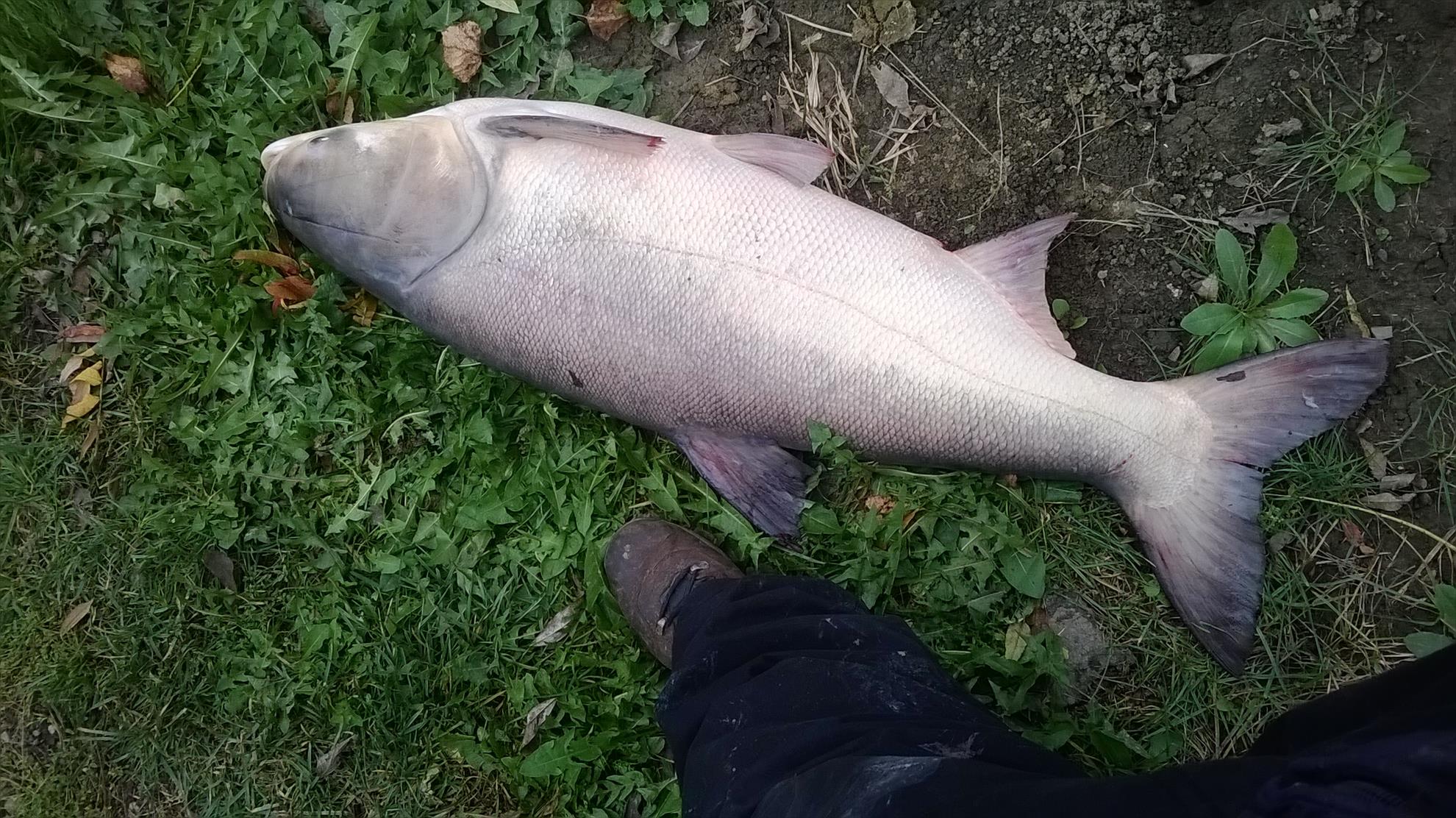 cristi - wp20141024002.jpg